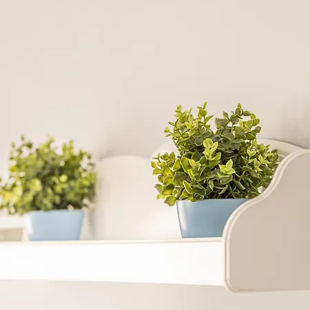 Bythelake Superior Apartment